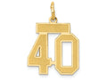 FJC Finejewelers 14k Yellow Gold Small Satin Number 40 Charm
