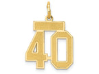 FJC Finejewelers 14k Yellow Gold Small Satin Number 40 Charm