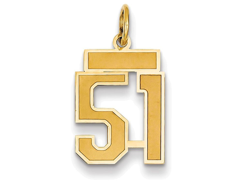 FJC Finejewelers 14k Yellow Gold Small Satin Number 51 Charm