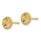 FJC Finejewelers 14k Yellow Gold Bright Cut Sand Dollar Post Earrings