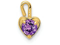 FJC Finejewelers 14k Yellow Gold February Synthetic Birth Month Stone Heart Charm