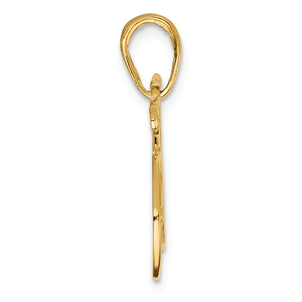 FJC Finejewelers 14k Yellow Gold Polished Bicycle Charm