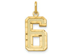 FJC Finejewelers 14k Yellow Gold Casted Medium Bright Cut Number 6 Charm