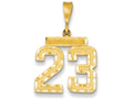 FJC Finejewelers 14k Yellow Gold Medium Bright Cut Number 23 Charm