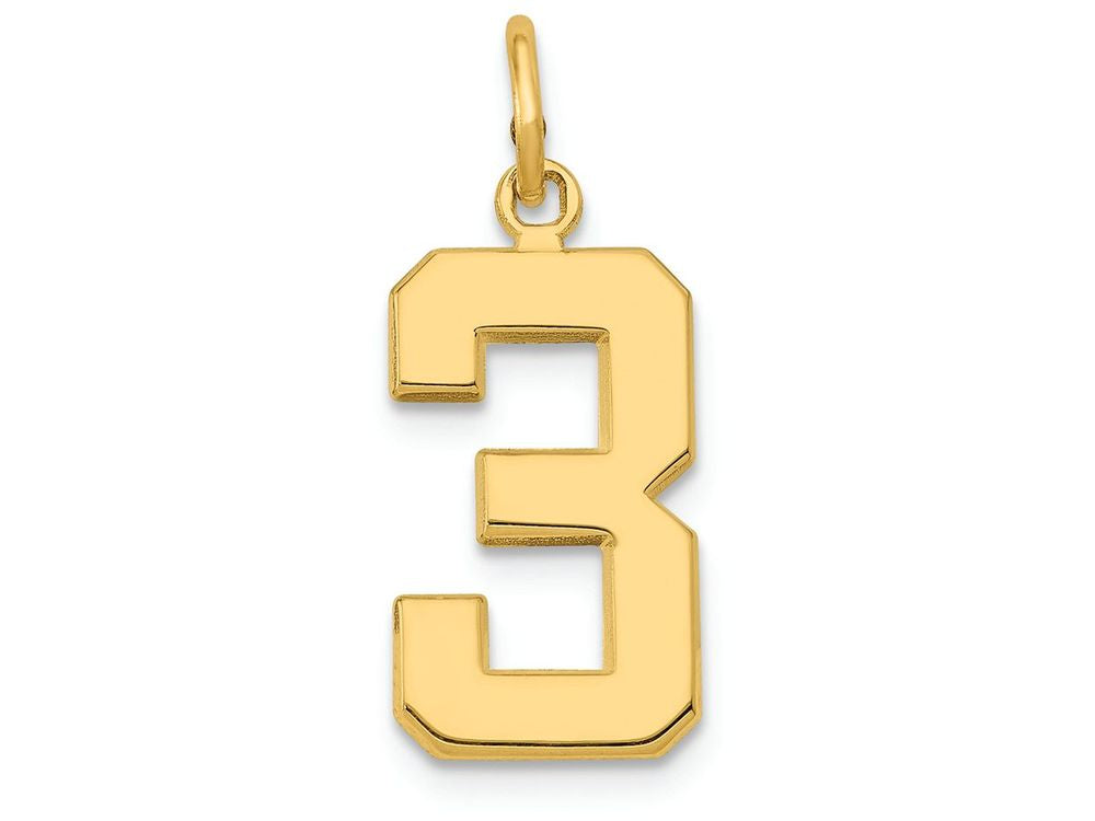 FJC Finejewelers 14k Yellow Gold Casted Medium Polished Number 3 Charm