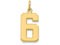 FJC Finejewelers 14k Yellow Gold Casted Medium Polished Number 6 Charm