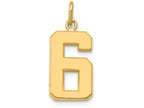FJC Finejewelers 14k Yellow Gold Casted Medium Polished Number 6 Charm