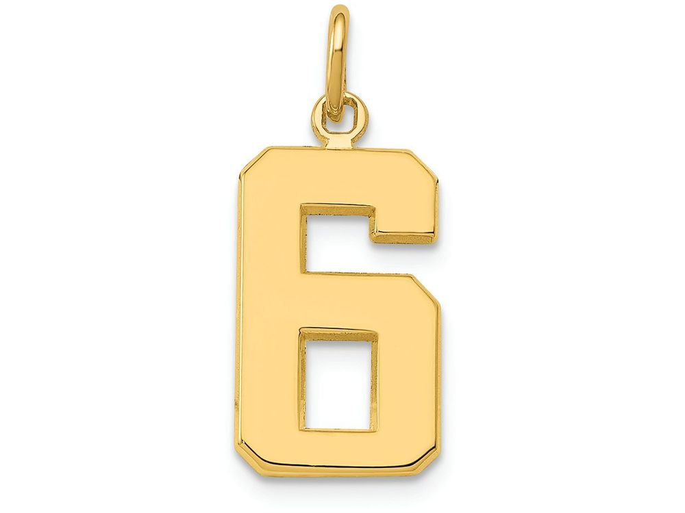 FJC Finejewelers 14k Yellow Gold Casted Medium Polished Number 6 Charm