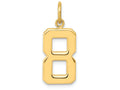 FJC Finejewelers 14k Yellow Gold Casted Medium Polished Number 8 Charm