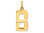 FJC Finejewelers 14k Yellow Gold Casted Medium Polished Number 8 Charm