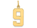 FJC Finejewelers 14k Yellow Gold Casted Medium Polished Number 9 Charm