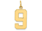 FJC Finejewelers 14k Yellow Gold Casted Medium Polished Number 9 Charm