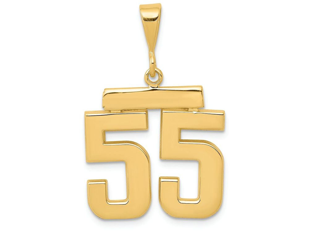 FJC Finejewelers 14k Yellow Gold Medium Polished Number 55 Charm