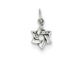 FJC Finejewelers Sterling Silver Small Star Of David Charm