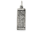 FJC Finejewelers Sterling Silver Antiqued Mezuzah Pendant Necklace - Chain Included