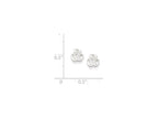 FJC Finejewelers Sterling Silver Flower With Cubic Zirconia Post Earrings
