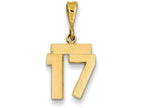 FJC Finejewelers 14k Yellow Gold Small Polished Number 17 Charm