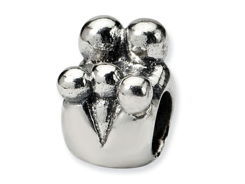 Reflections™ Sterling Silver Family of 5 Bead / Charm