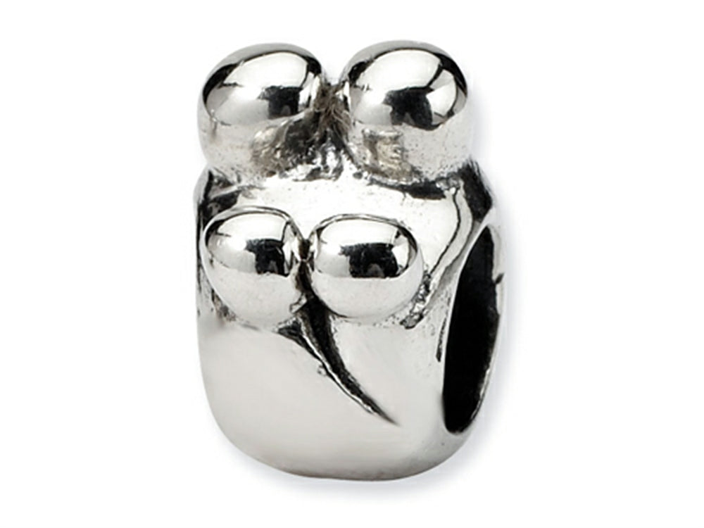 Reflections™ Sterling Silver Family of 4 Bead / Charm