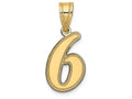FJC Finejewelers 14k Yellow Gold Polished Script Number 6 Charm