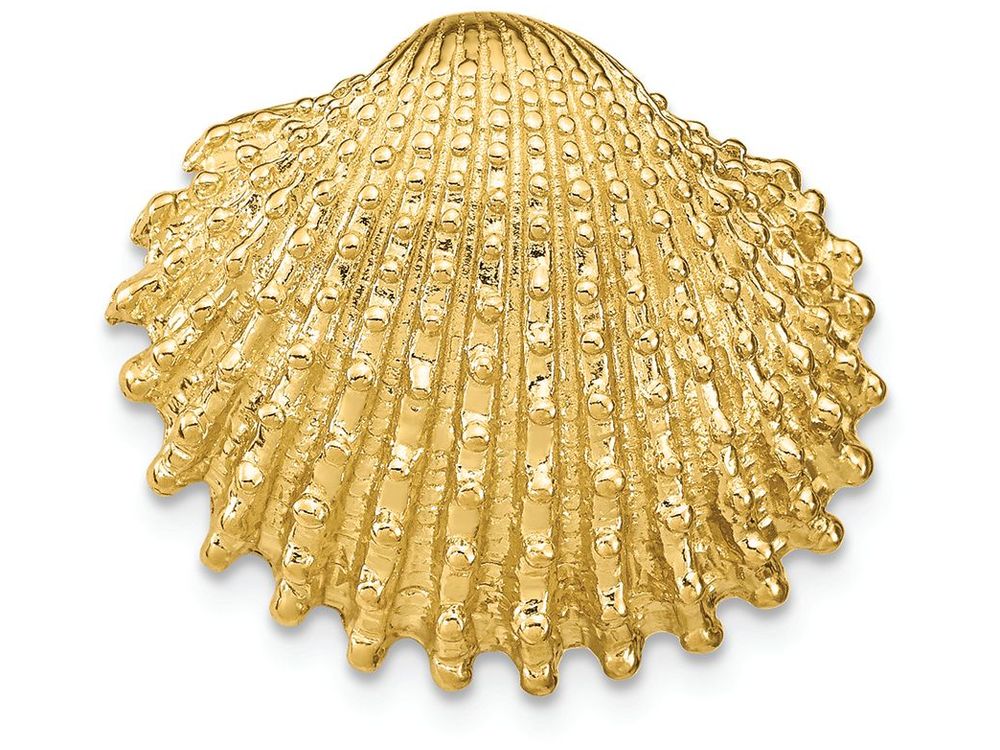 FJC Finejewelers 14k Yellow Gold Scallop Shell with Beaded Text Charm