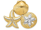 FJC Finejewelers 14k Two-tone Gold Scallop Starfish Sand Dollar Slidetwo-color Charm