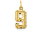 FJC Finejewelers 14k Yellow Gold Casted Small Bright Cut Number 9 Charm