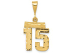 FJC Finejewelers 14k Yellow Gold Small Bright Cut Number 15 Charm