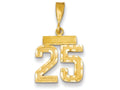 FJC Finejewelers 14k Yellow Gold Small Bright Cut Number 25 Charm