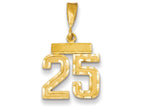 FJC Finejewelers 14k Yellow Gold Small Bright Cut Number 25 Charm