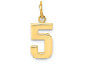 FJC Finejewelers 14k Yellow Gold Casted Small Polished Number 5 Charm