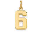 FJC Finejewelers 14k Yellow Gold Casted Small Polished Number 6 Charm