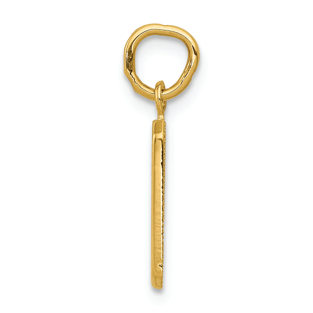 FJC Finejewelers 14k Yellow Gold Casted Small Polished Number 9 Charm