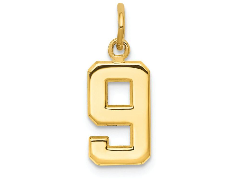 FJC Finejewelers 14k Yellow Gold Casted Small Polished Number 9 Charm