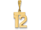 FJC Finejewelers 14k Yellow Gold Small Polished Number 12 Charm