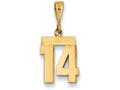 FJC Finejewelers 14k Yellow Gold Small Polished Number 14 Charm