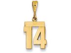 FJC Finejewelers 14k Yellow Gold Small Polished Number 14 Charm