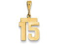 FJC Finejewelers 14k Yellow Gold Small Polished Number 15 Charm