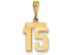 FJC Finejewelers 14k Yellow Gold Small Polished Number 15 Charm