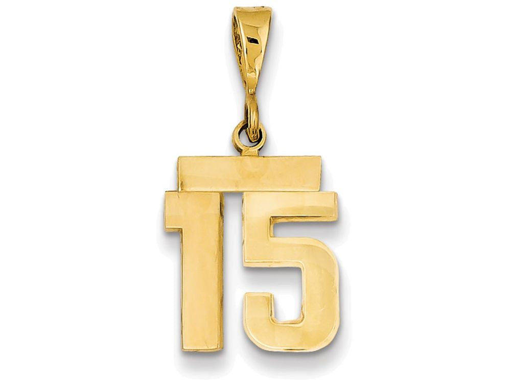 FJC Finejewelers 14k Yellow Gold Small Polished Number 15 Charm