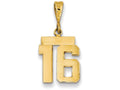 FJC Finejewelers 14k Yellow Gold Small Polished Number 16 Charm
