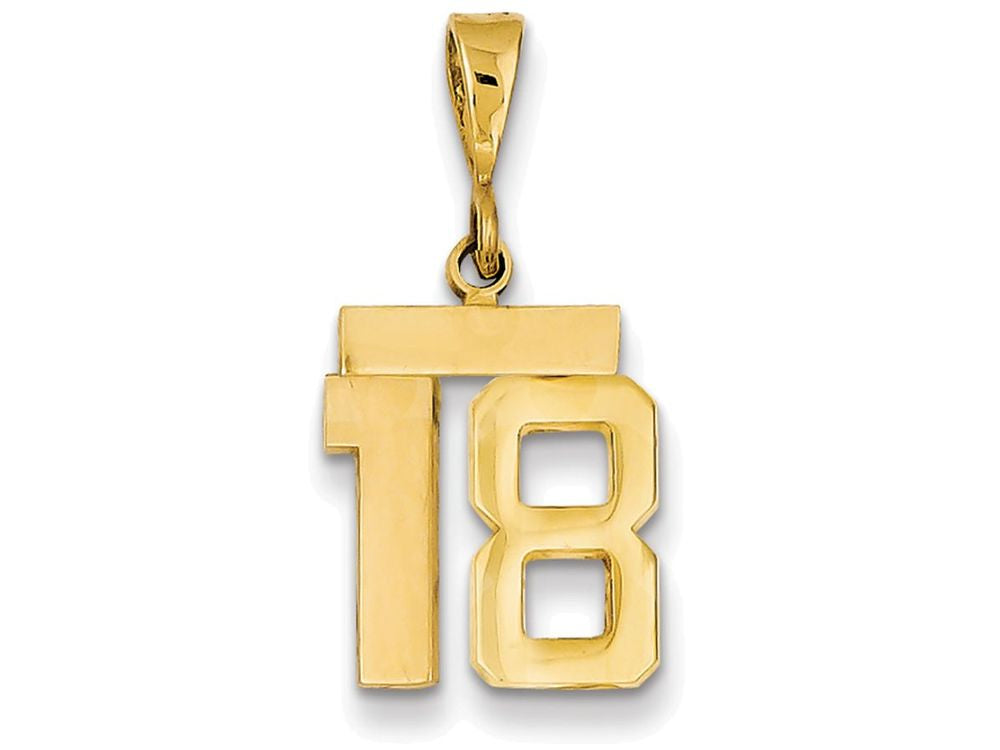 FJC Finejewelers 14k Yellow Gold Small Polished Number 18 Charm