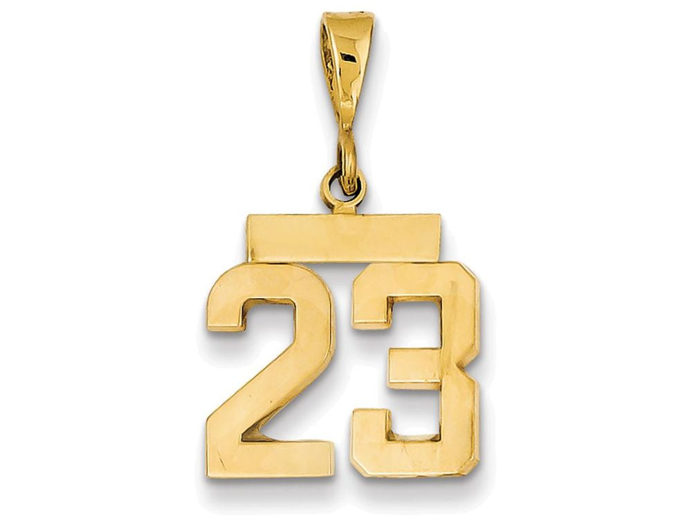 FJC Finejewelers 14k Yellow Gold Polished Number 23 Small Charm