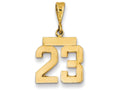 FJC Finejewelers 14k Yellow Gold Polished Number 23 Small Charm