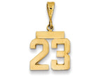 FJC Finejewelers 14k Yellow Gold Polished Number 23 Small Charm
