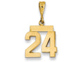 FJC Finejewelers 14k Yellow Gold Small Polished Number 24 Charm