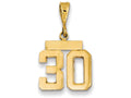 FJC Finejewelers 14k Yellow Gold Small Polished Number 30 Charm