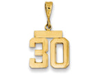 FJC Finejewelers 14k Yellow Gold Small Polished Number 30 Charm