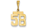 FJC Finejewelers 14k Yellow Gold Small Polished Number 58 Charm