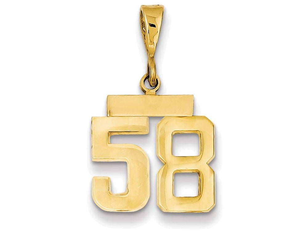 FJC Finejewelers 14k Yellow Gold Small Polished Number 58 Charm